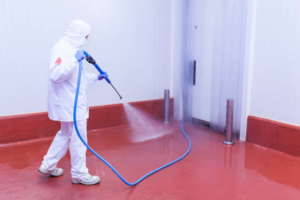 Best Boat and Dock Cleaning  in Checotah, OK